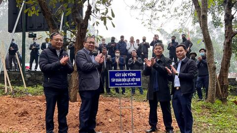 Tập đoàn Điện lực Việt Nam hưởng ứng Tết trồng cây tại tỉnh Phú Thọ