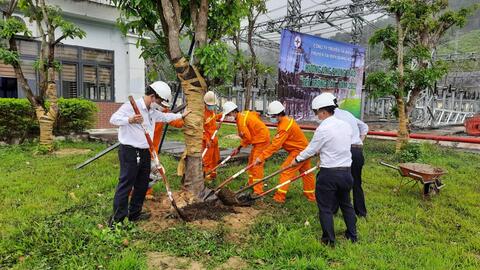 Truyền tải điện Quảng Ngãi hưởng ứng phong trào “Tết trồng cây” năm 2022