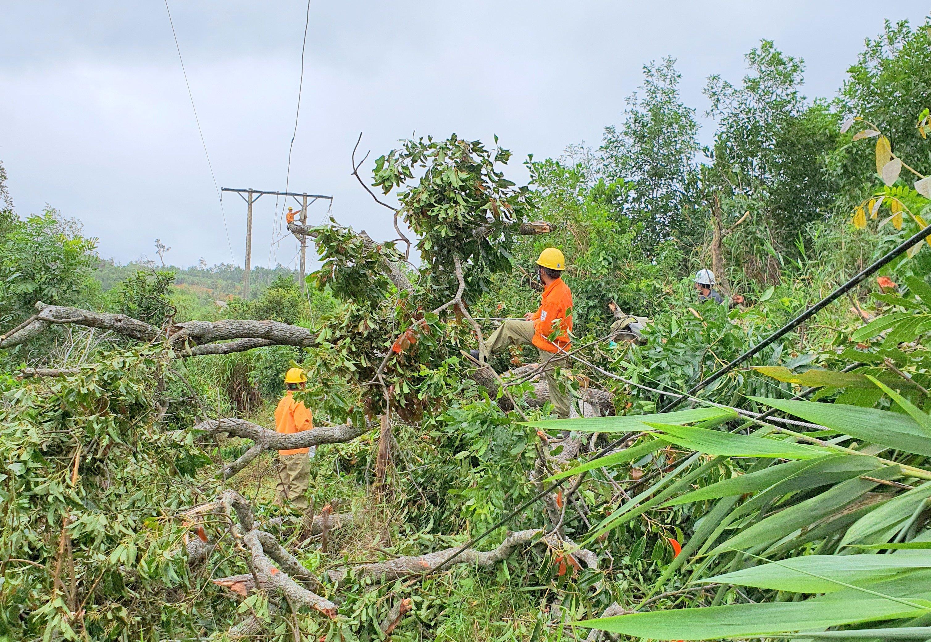 EVNCPC đã cấp điện trở lại cho 100% khách hàng bị ảnh hưởng của bão số 5 (bão Conson)