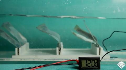 Phát triển thành công máy phát điện dưới nước lấy cảm hứng từ tảo biển