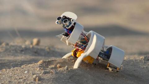 Robot tự động gieo hạt trên sa mạc