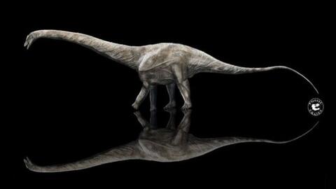 Loài khủng long dài nhất từng sống trên Trái Đất