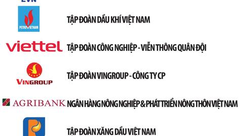 EVN duy trì vị trí thứ hai trong top 500 doanh nghiệp lớn nhất tại Việt Nam