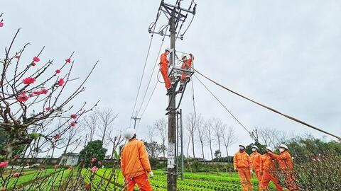Ra quân thi công gần 40 công trình đầu xuân đảm bảo cấp điện cho Hà Nội