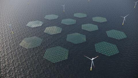 Dự án thử nghiệm tại Biển Bắc - phát triển các tấm pin mặt trời nổi có thể lướt trên sóng 'như một tấm thảm'