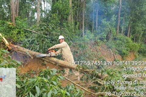 Truyền tải điện Quảng Ngãi tập trung khắc phục thiệt hại sau bão số 4
