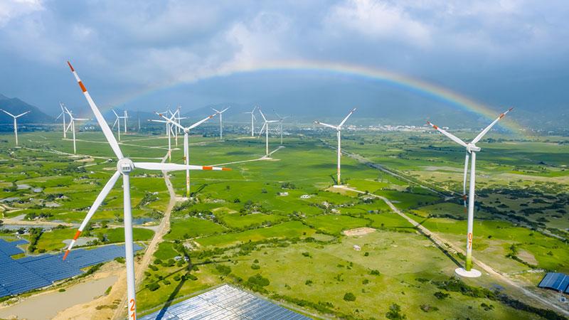 Vận hành nhà máy điện gió lớn nhất Việt Nam tại Ninh Thuận