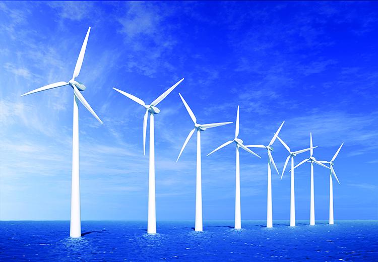 Phát triển điện gió: Rất cần sự phối hợp đồng bộ